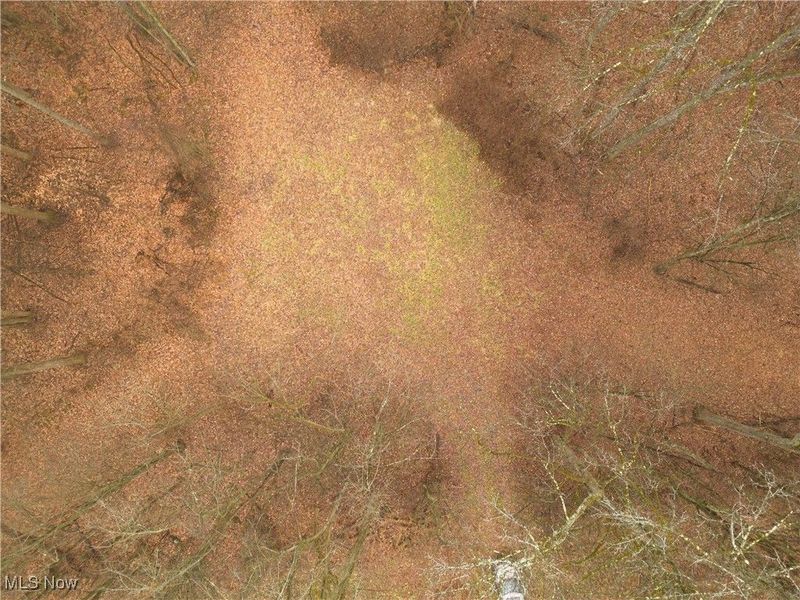 12025 Pleasant Valley Road, Frazeysburg, OH 43822 Photo 8