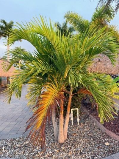 5309 Cypress Trail Resort Cir, Fort Myers, FL 33905 Photo