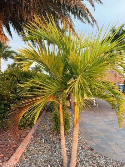 5309 Cypress Trail Resort Cir, Fort Myers, FL 33905 Photo