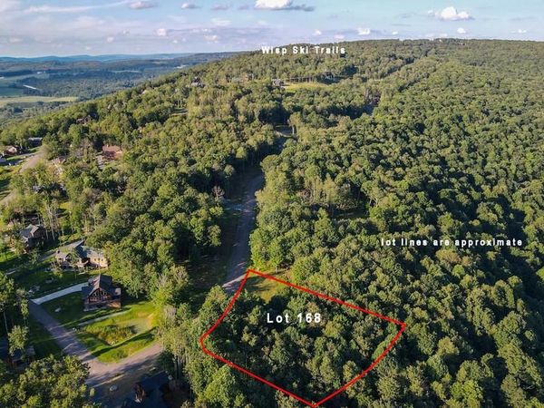 Lot 168 FORK RUN TRAIL, MC HENRY, MD 21541