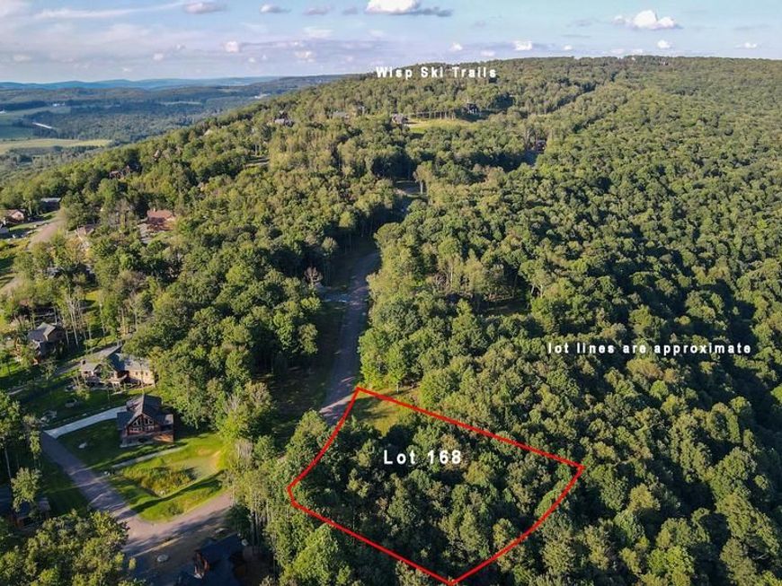 Lot 168 Fork Run Trail, Mc Henry, MD 21541 Main Photo