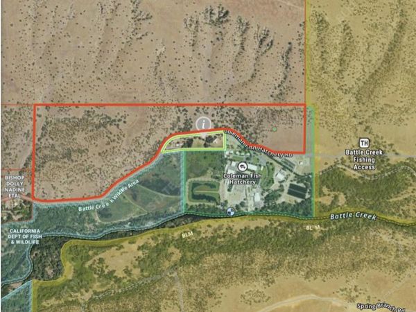 0 Coleman Fish Hatchery Road, Anderson, CA 96007