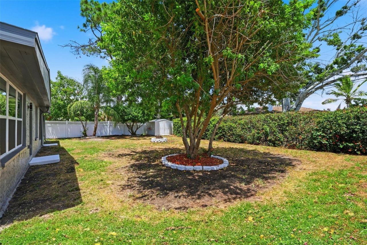 4435 Huntington Street Ne, Saint Petersburg, FL 33703 Photo