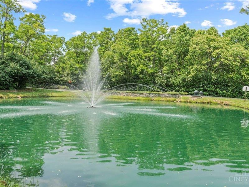 4257 Primary Colors, West Chester, OH 45069 Photo 8