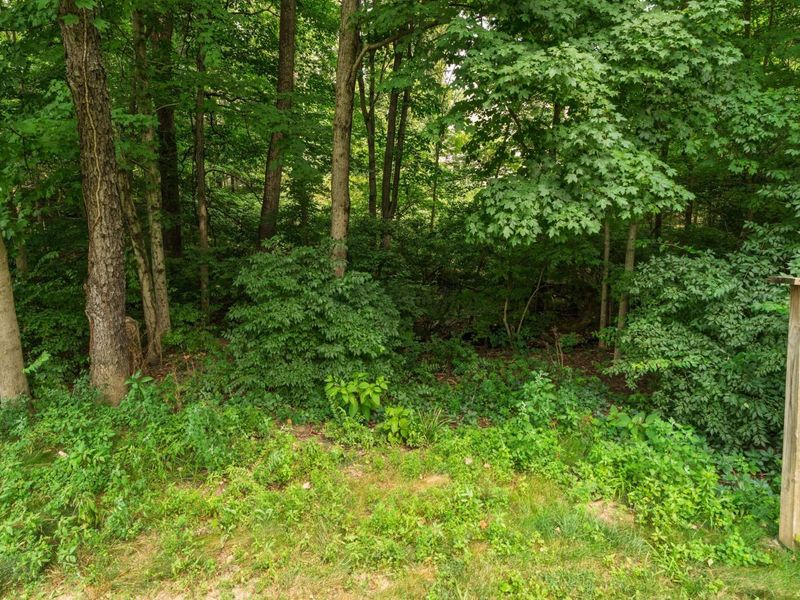 88 Ravine Road, Powell, OH 43065 Photo 39