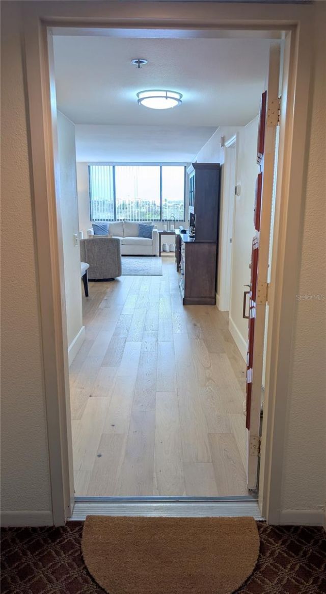 6322 Palma Del Mar Boulevard S, Unit 705, Saint Petersburg, FL 33715 Photo