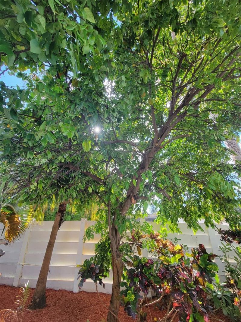 4710 Grant St, Hollywood, FL 33021 Photo