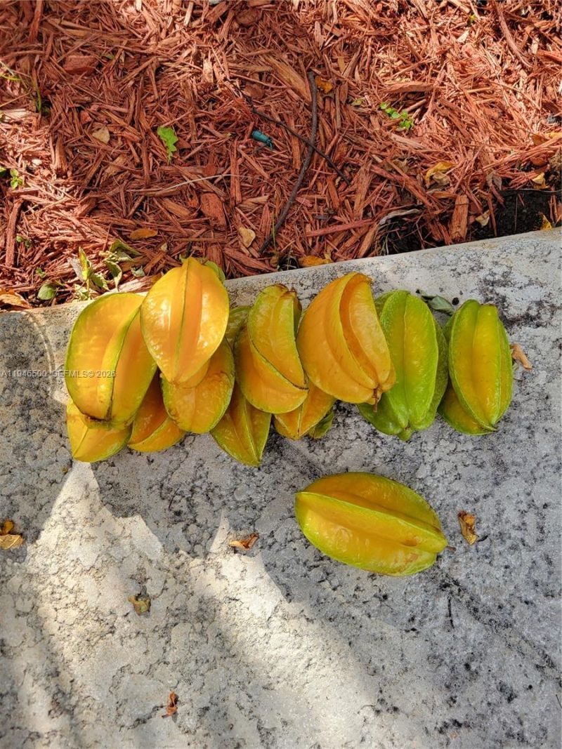 4710 Grant St, Hollywood, FL 33021 Photo