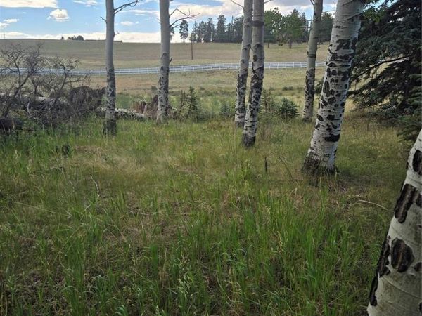 199 Joshua Road, Divide, CO 80814
