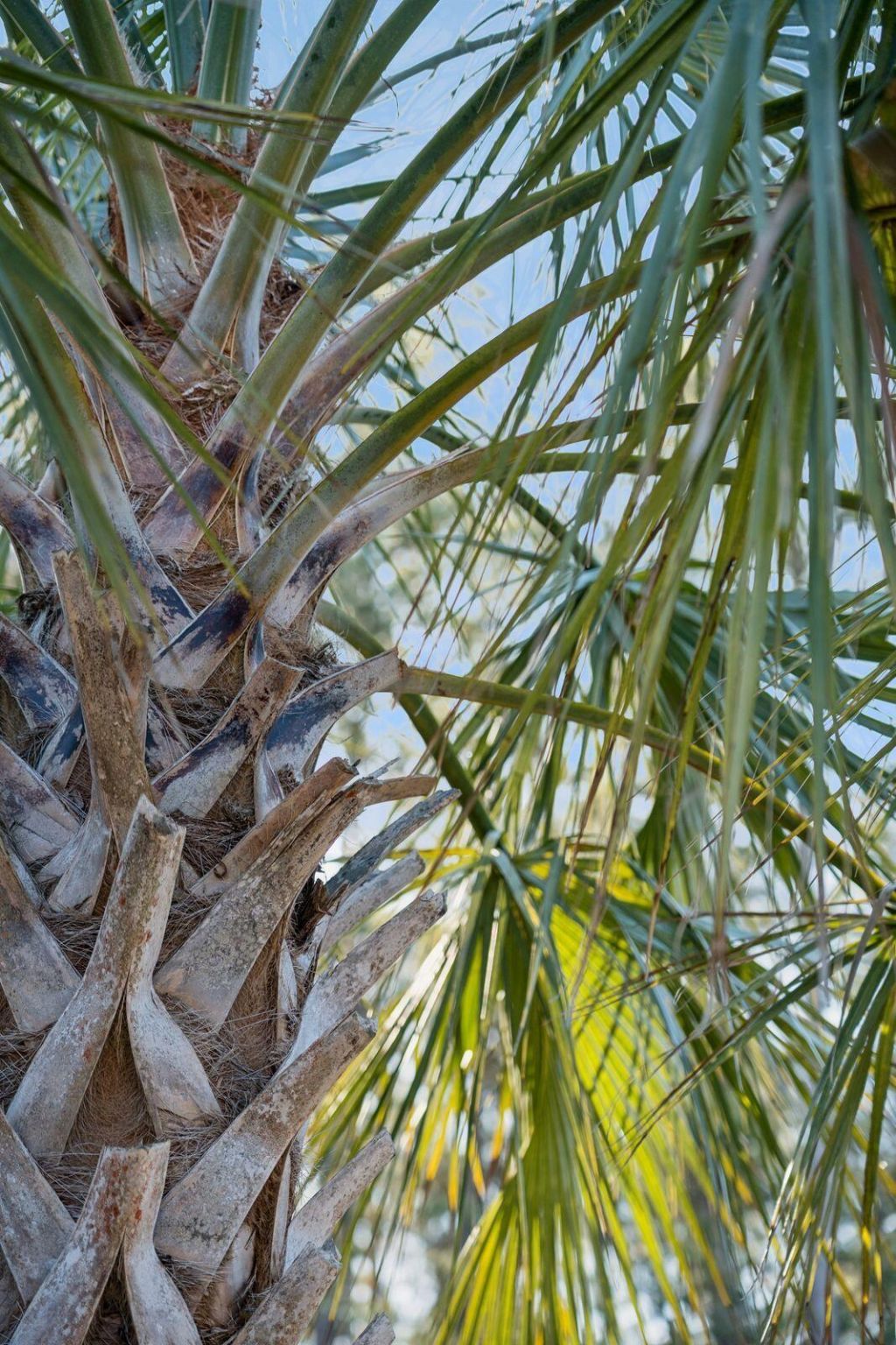 1348 Wild Goose Trail Photo 46