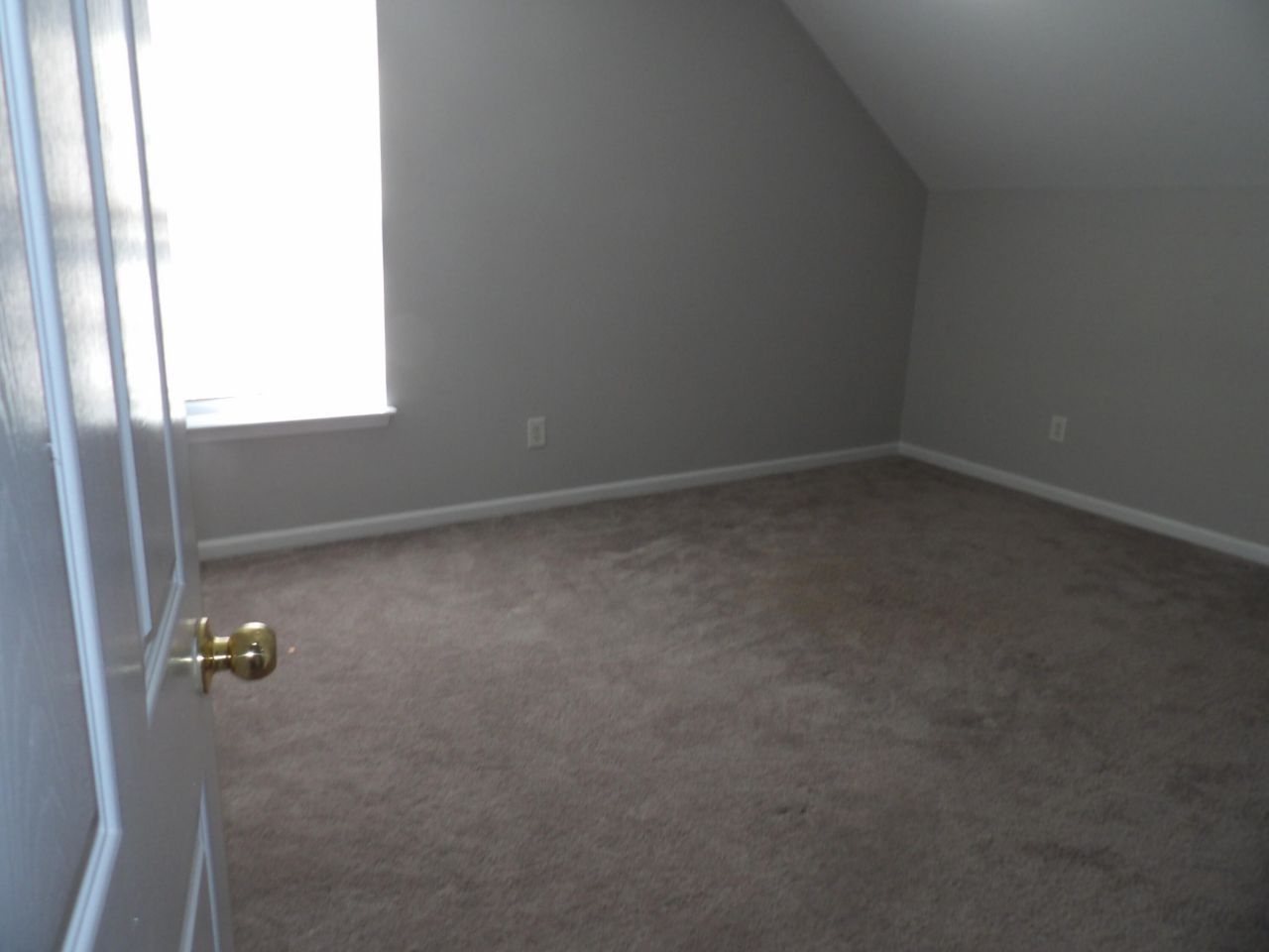 1372 Palm Cove Drive Photo 10