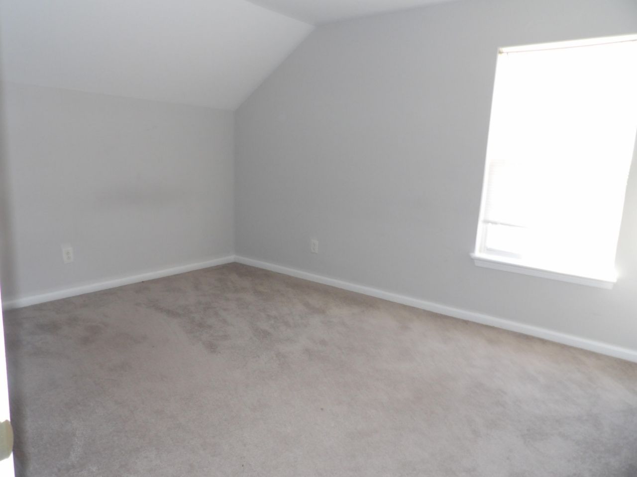 1372 Palm Cove Drive Photo 11