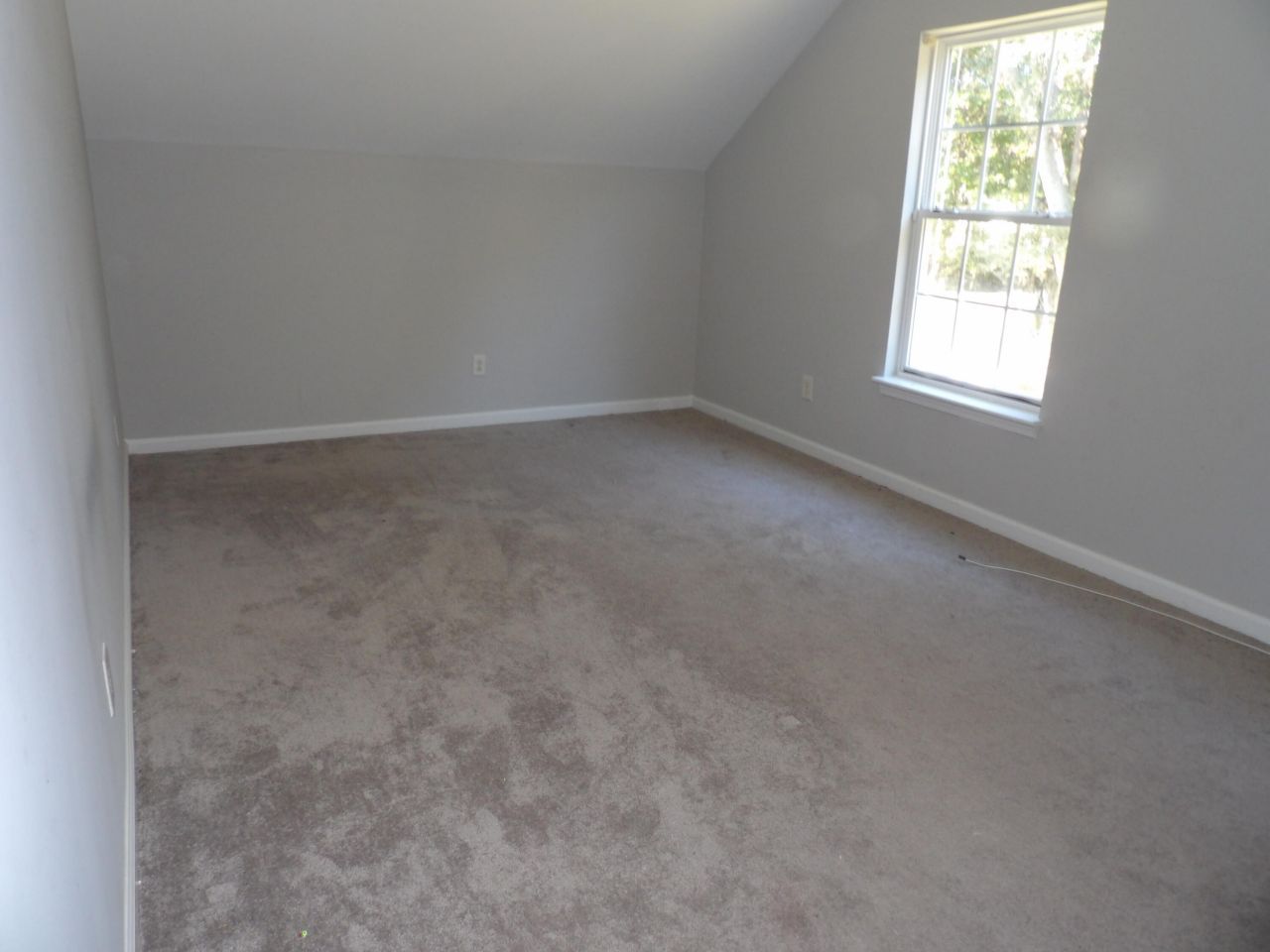 1372 Palm Cove Drive Photo 13