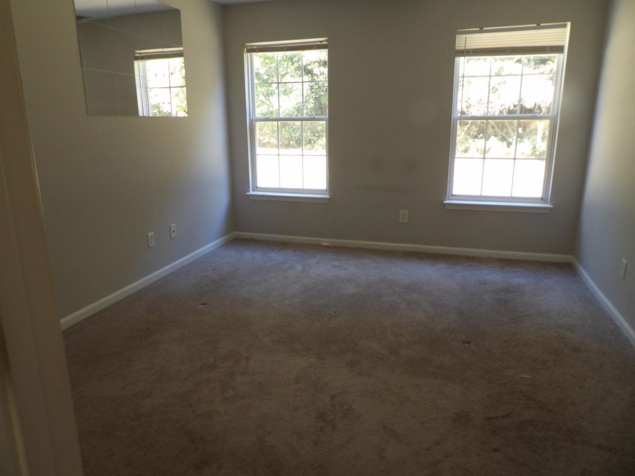 1372 Palm Cove Drive Photo 6