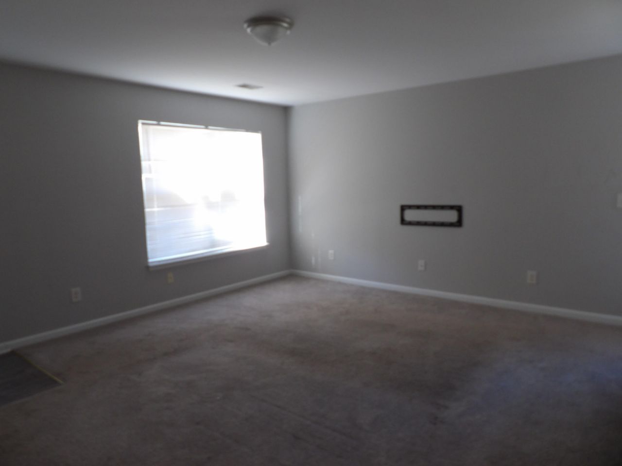 1372 Palm Cove Drive Photo 9