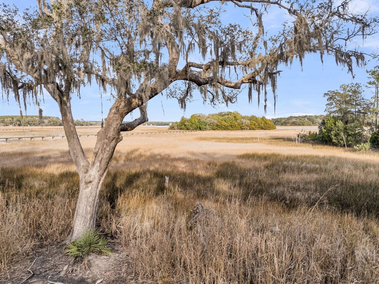 5010 Timber Race Course Photo 4