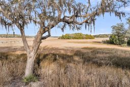 5010 Timber Race Course photo 4