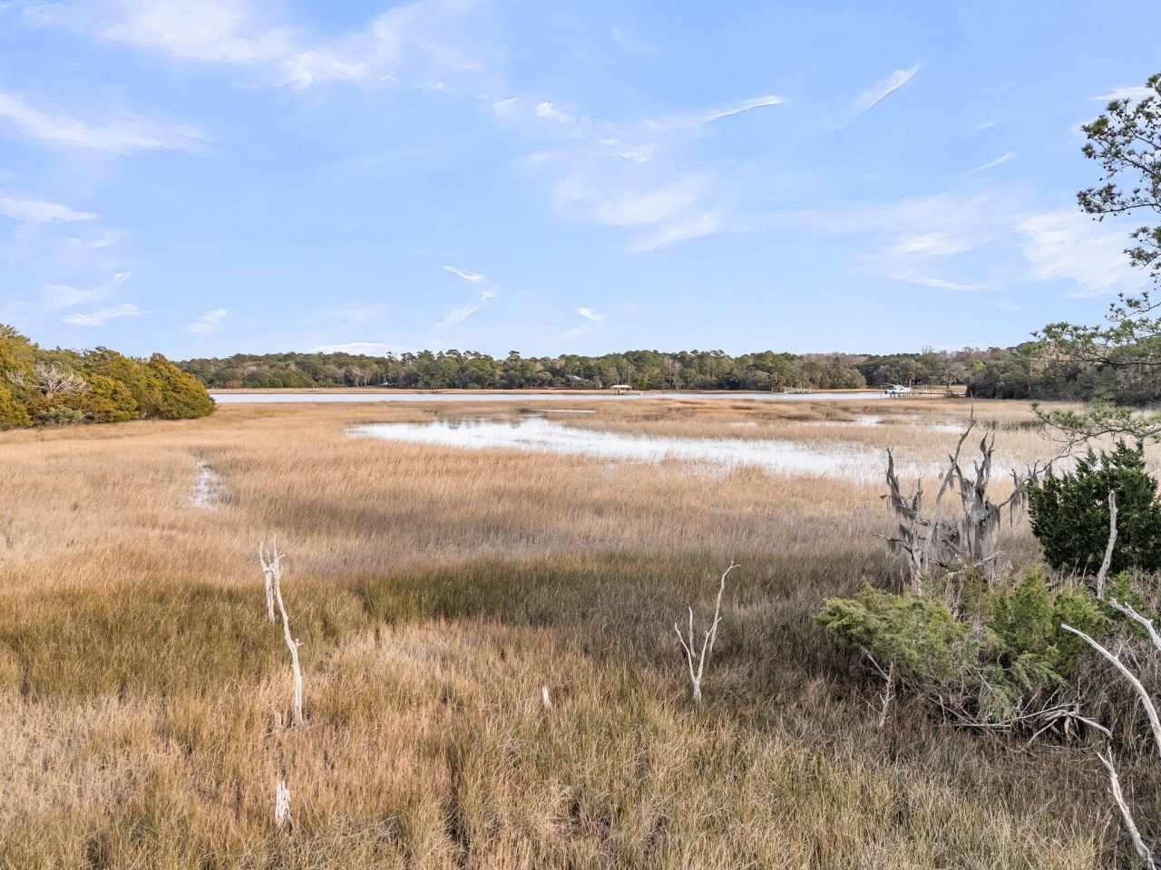 5010 Timber Race Course Photo 52