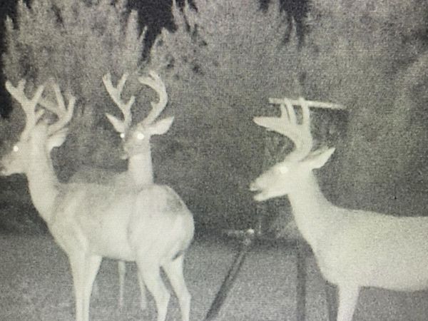 448 Attala County Road 4005 Road, Goodman, MS 39079