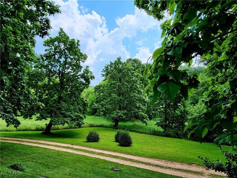 40601 E Shade Road, Reedsville, OH 45772 Photo 14