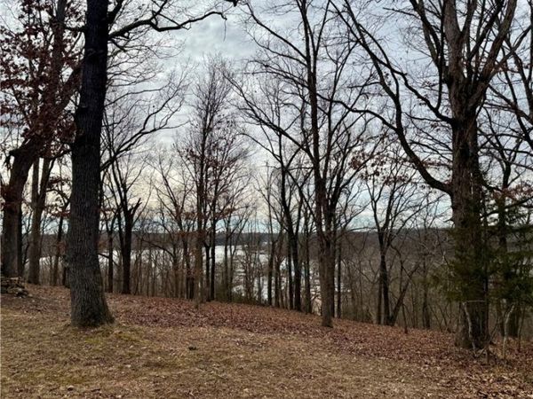 Lots 5-10 Ozark View Ln, Stover, MO 65078