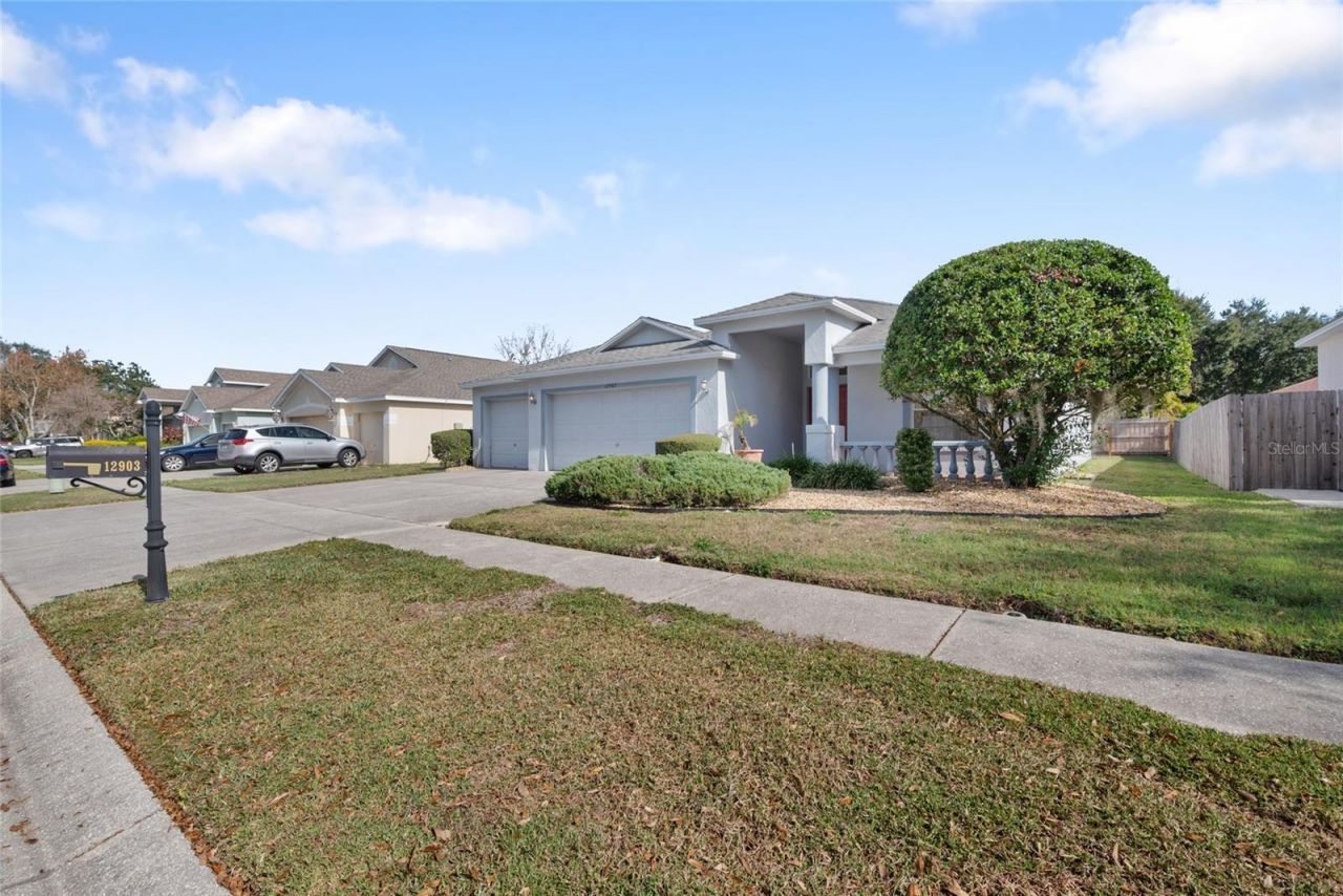 12903 Lake Ventana Drive, Tampa, FL 33625 Main Photo