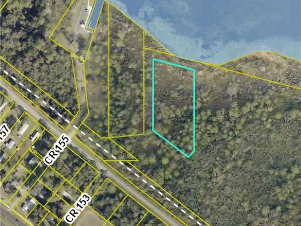 TBD CR 155, WILDWOOD, FL 34785
