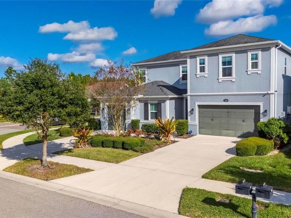 18233 LEAFMORE STREET, LUTZ, FL 33548