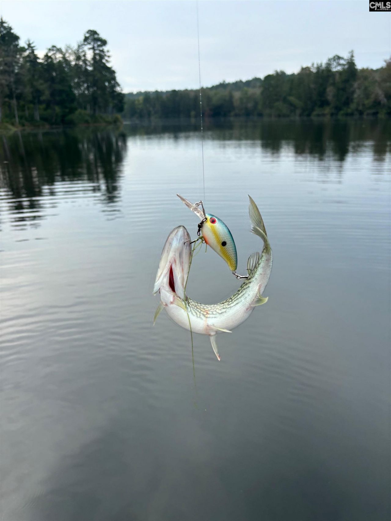 623 Rose Quartz Lane Photo 32