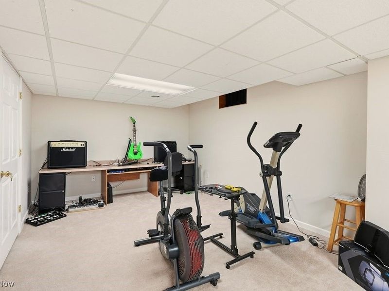 1159 Park Ledge Drive, Macedonia, OH 44056 Photo 37