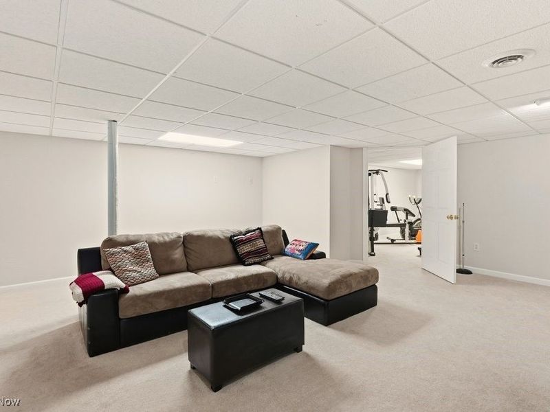 1159 Park Ledge Drive, Macedonia, OH 44056 Photo 39