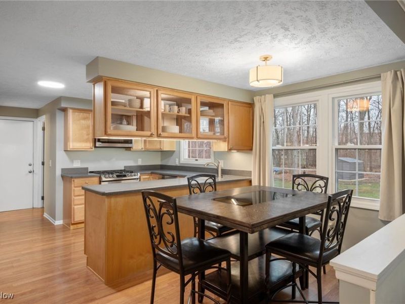 9693 Martinique Drive, Concord, OH 44060 Photo 9