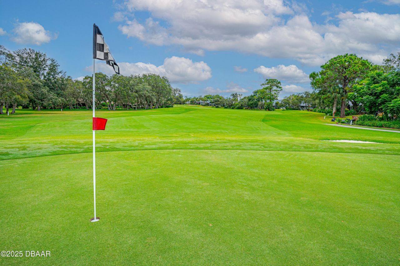 727 Grape Ivy Lane, New Smyrna Beach, FL 32168 Photo