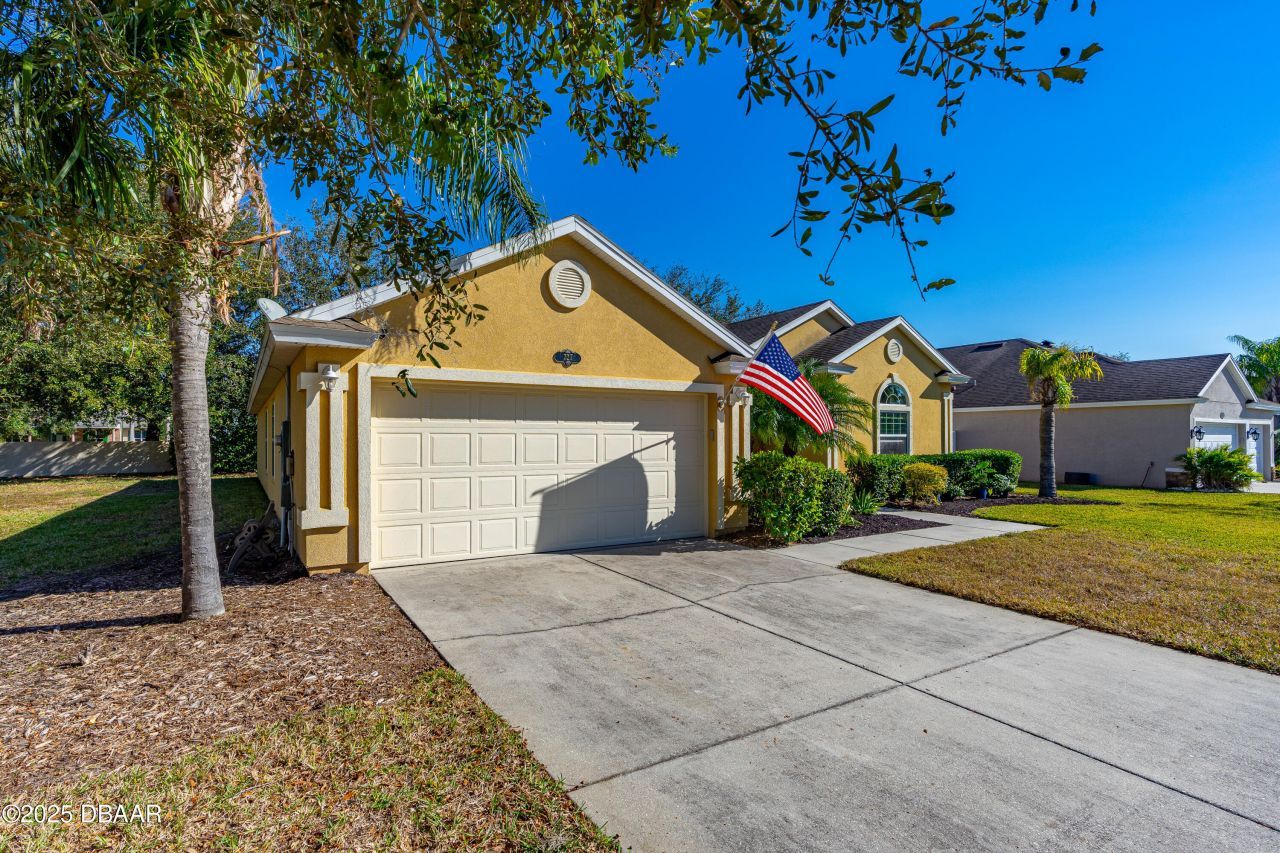 727 Grape Ivy Lane, New Smyrna Beach, FL 32168 Photo