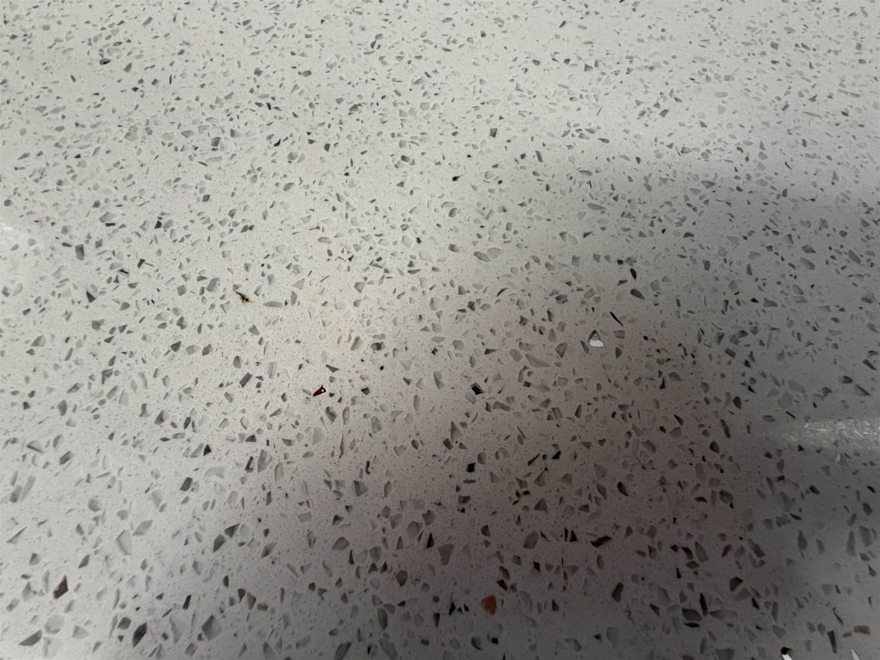 607 Geddings Dr. Photo 8