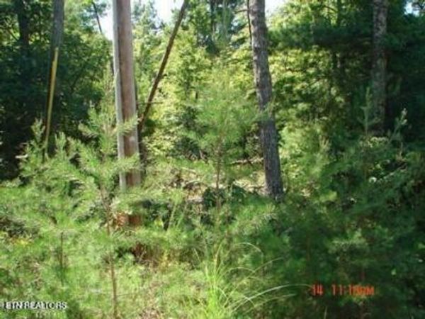 175 Pineridge Loop, Crossville, TN 38558