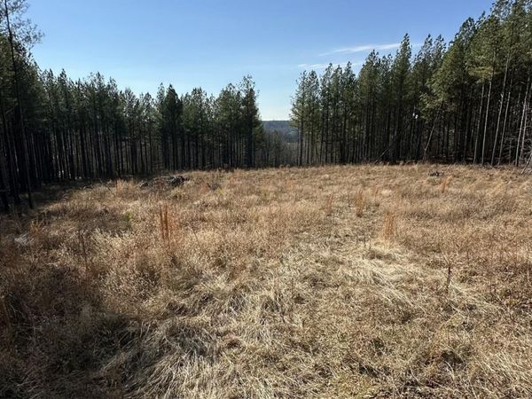 59 Union Hill Rd, Sunbright, TN 37872