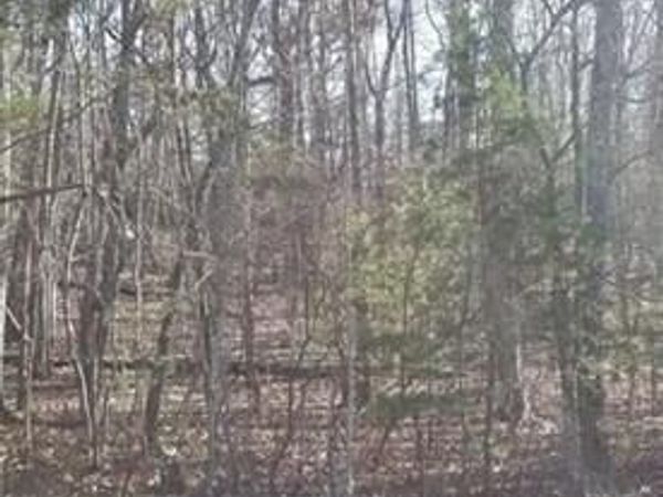 26 Harley Circle, Fairfield Glade, TN 38558