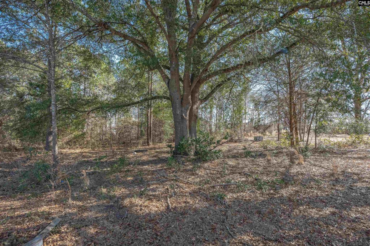 1114 West Street Photo 31