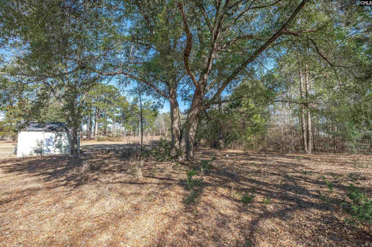 1114 West Street Photo 40