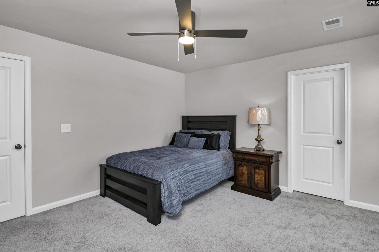 531 Rhine Falls Lane  Photo 19