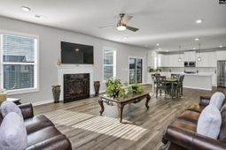 531 Rhine Falls Lane  photo 4