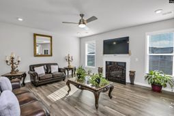 531 Rhine Falls Lane  photo 4