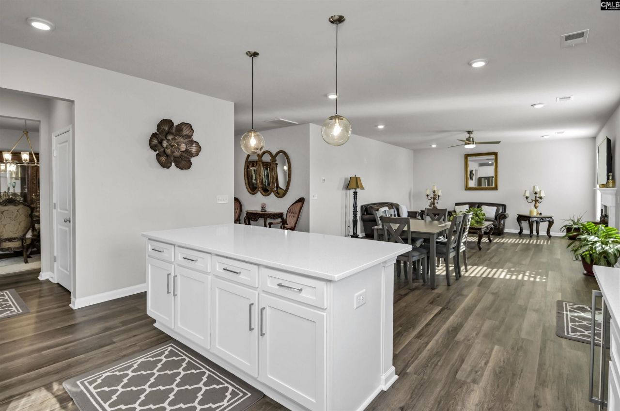 531 Rhine Falls Lane  Photo 8