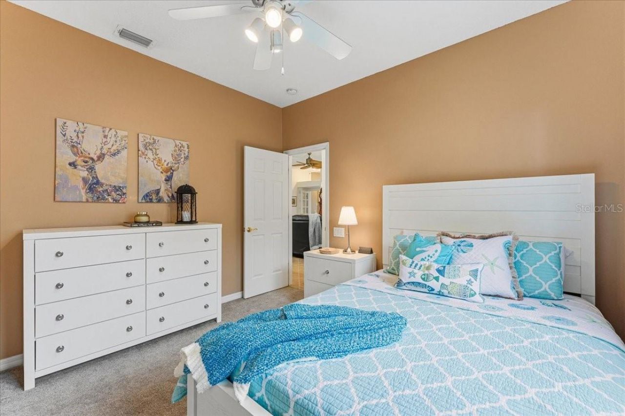 3685 Julienne Way, Palm Harbor, FL 34685 Photo