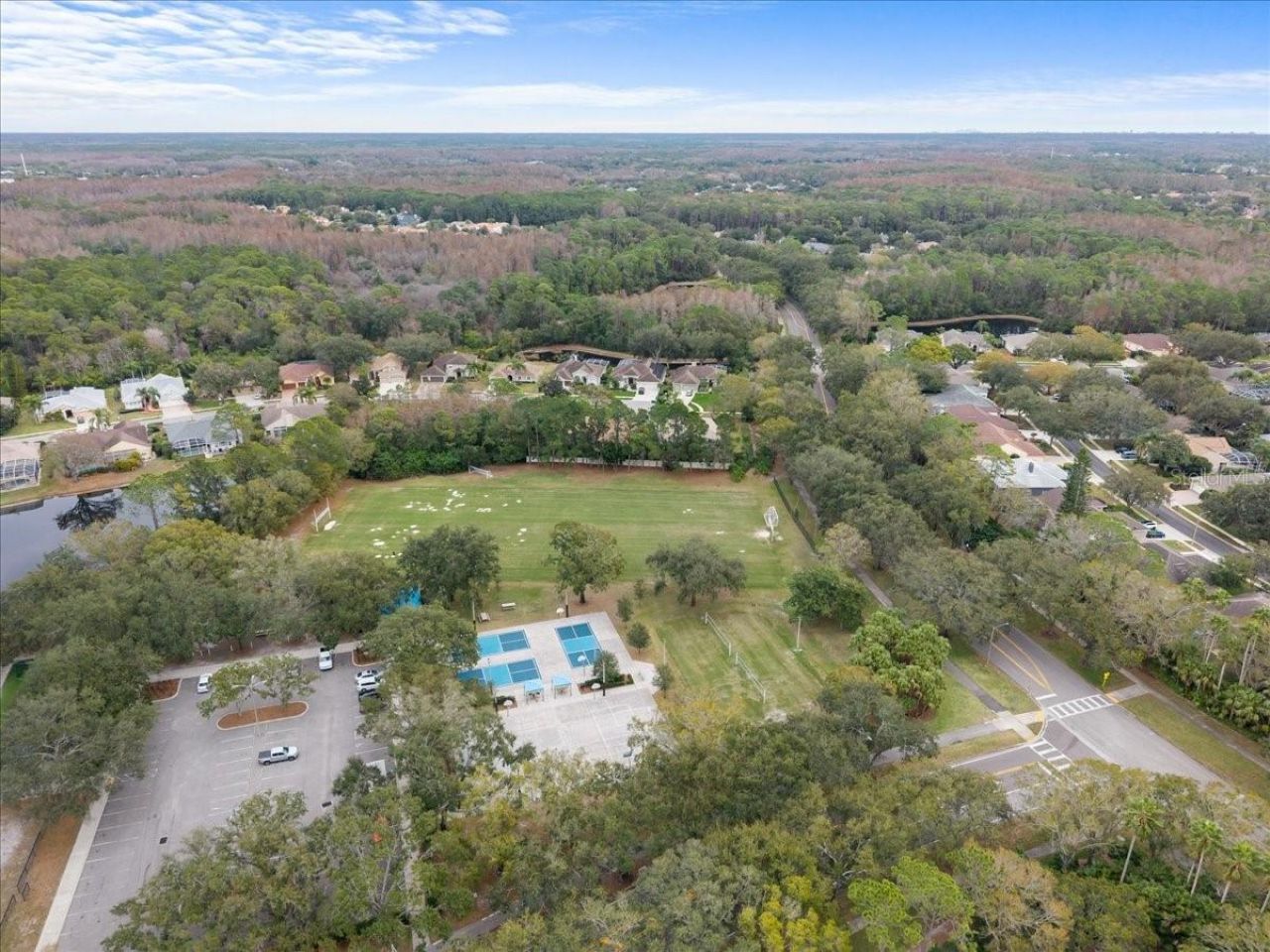 3685 Julienne Way, Palm Harbor, FL 34685 Photo