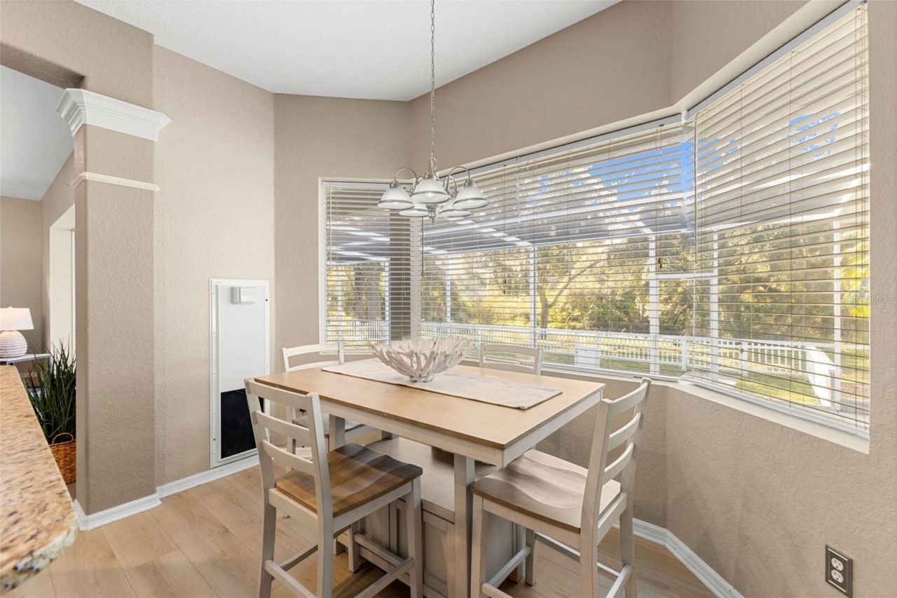 12305 Twin Branch Acres Road, Tampa, FL 33626 Photo