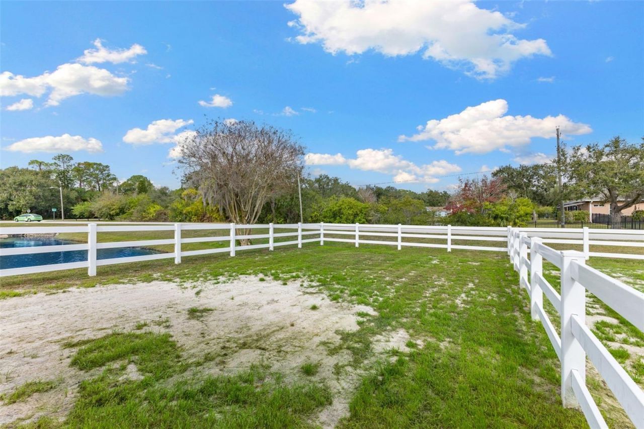 12305 Twin Branch Acres Road, Tampa, FL 33626 Photo