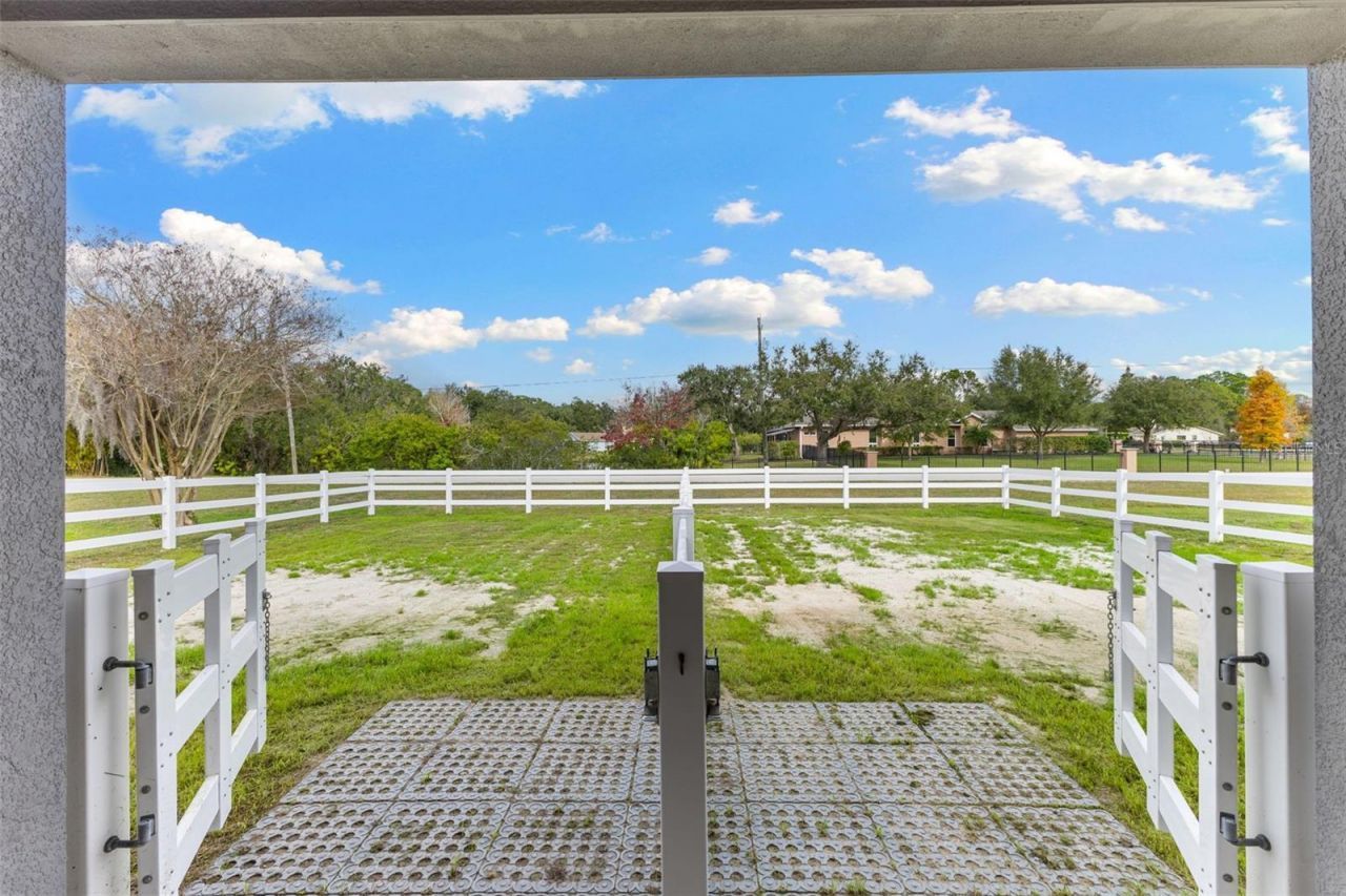 12305 Twin Branch Acres Road, Tampa, FL 33626 Photo