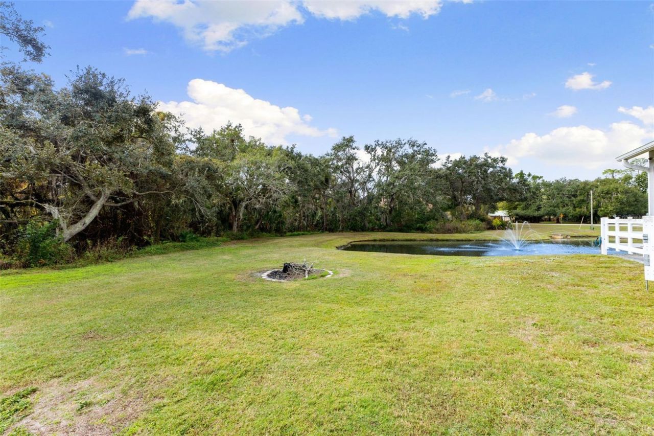 12305 Twin Branch Acres Road, Tampa, FL 33626 Photo